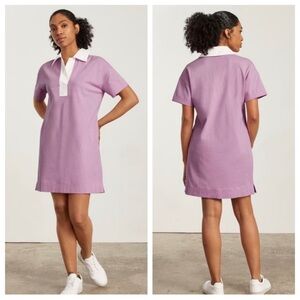 Everlane Lilac Polo Dress